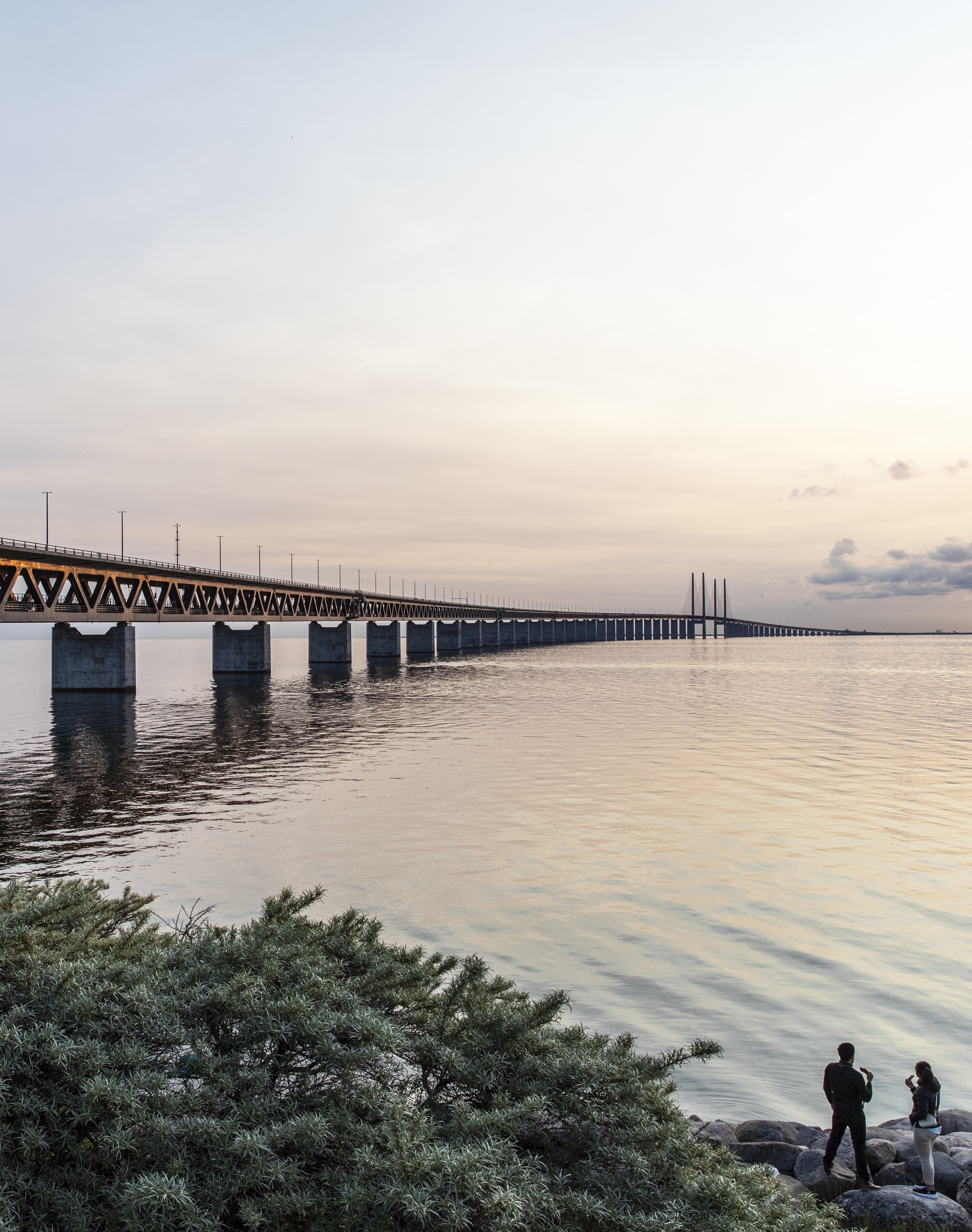 Together, we shape a sustainable and liveable world